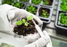 BioSync